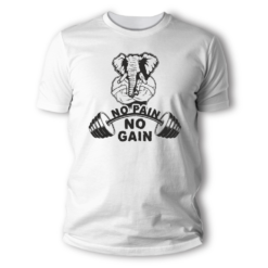 TS19674 No pain no gain elephant w